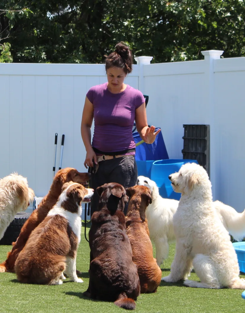Jocelyn Guillemette, a Dog Trainer at The Barking Dog in Hooksett, NH